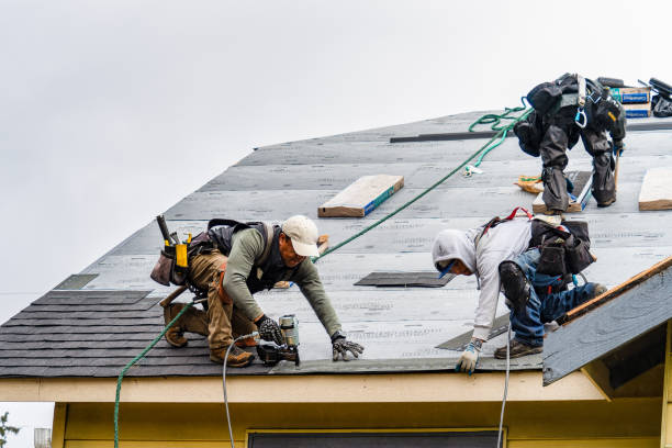 Professional Roofing technician working in Holy City, CA
